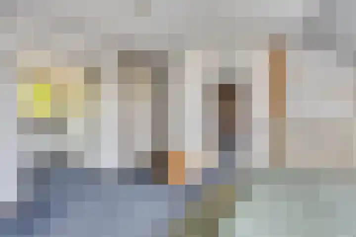 Hendriklaan 5 Oss thumbnail 29