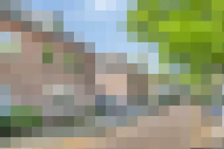 Hendriklaan 5 Oss thumbnail 32