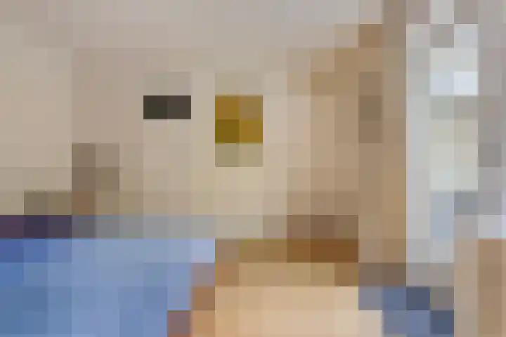 Hendriklaan 8 Oss thumbnail 14