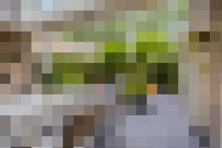 Hendriklaan 8 Oss thumbnail 33