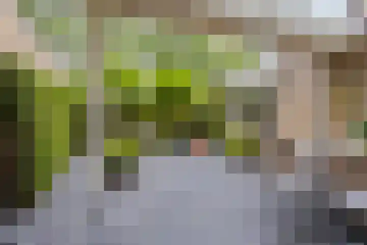 Hendriklaan 8 Oss thumbnail 34