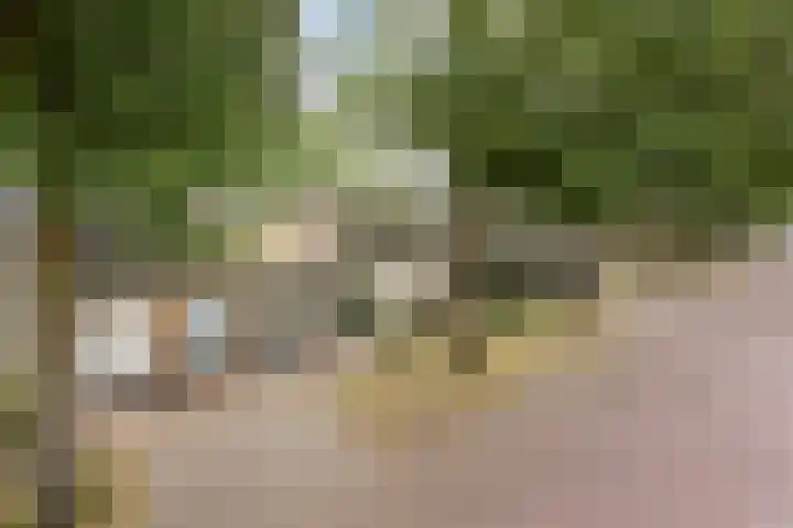 Hendriklaan 8 Oss thumbnail 37
