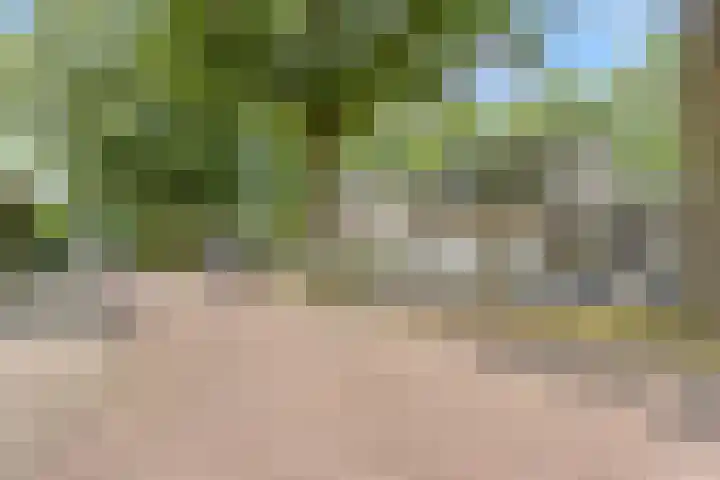 Hendriklaan 8 Oss thumbnail 44