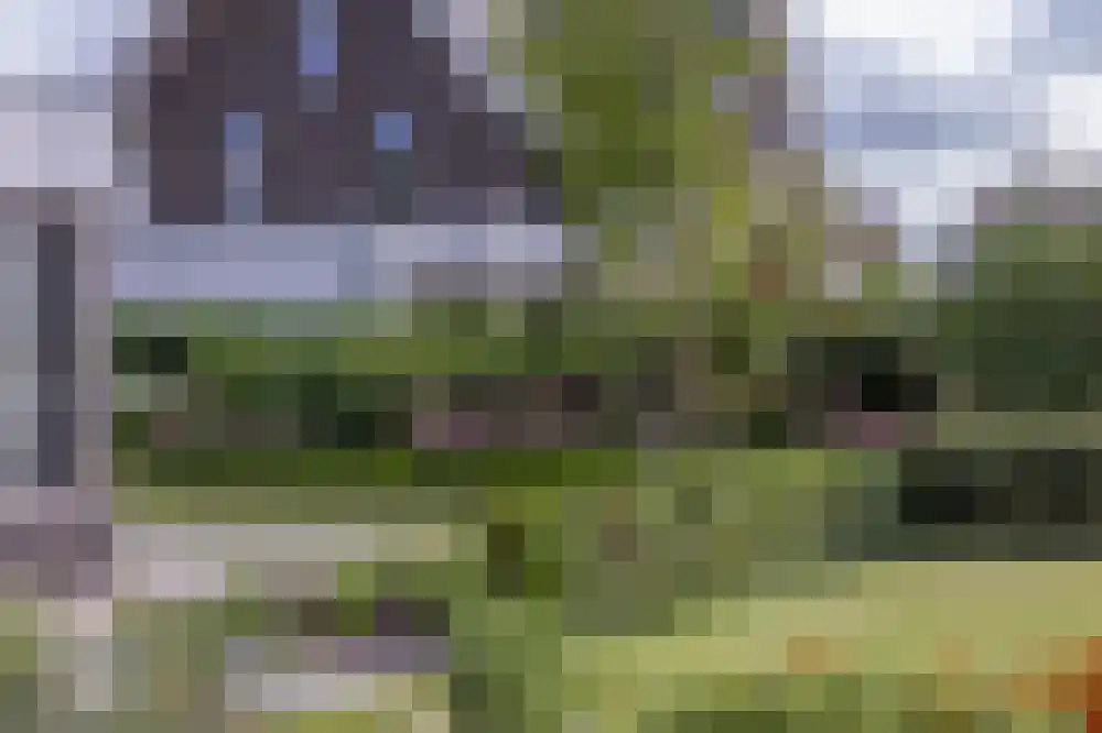 Hendrikseiland 35 Zevenhuizen thumbnail 38