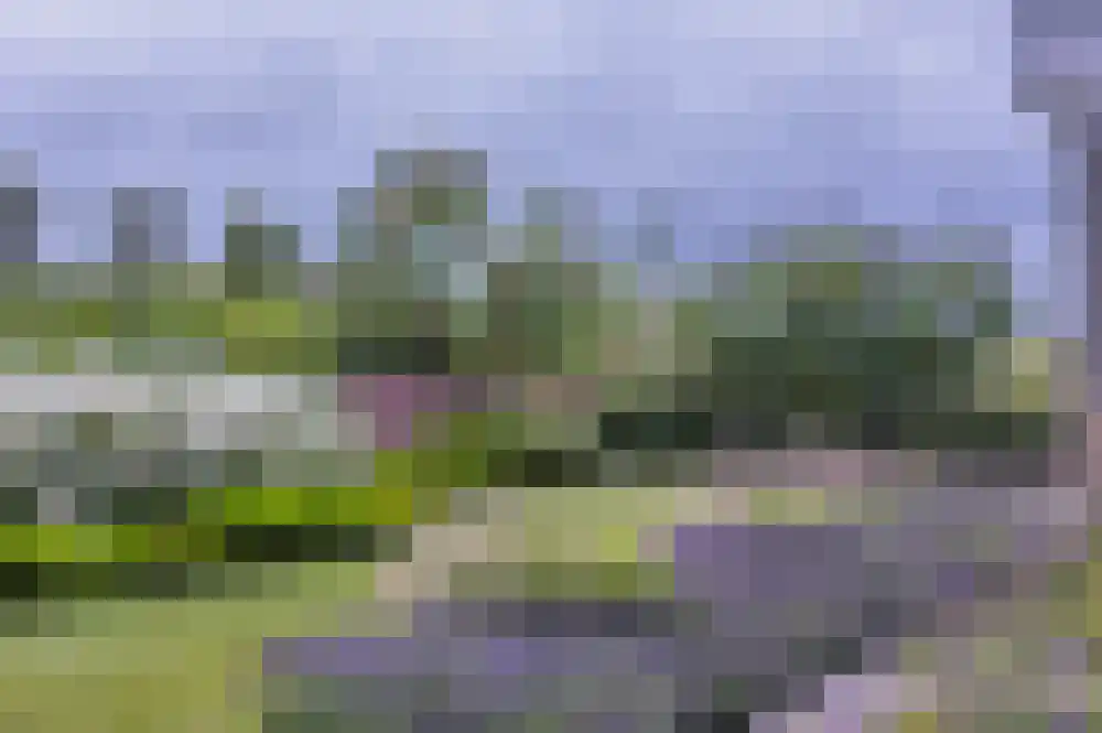 Hendrikseiland 35 Zevenhuizen thumbnail 41
