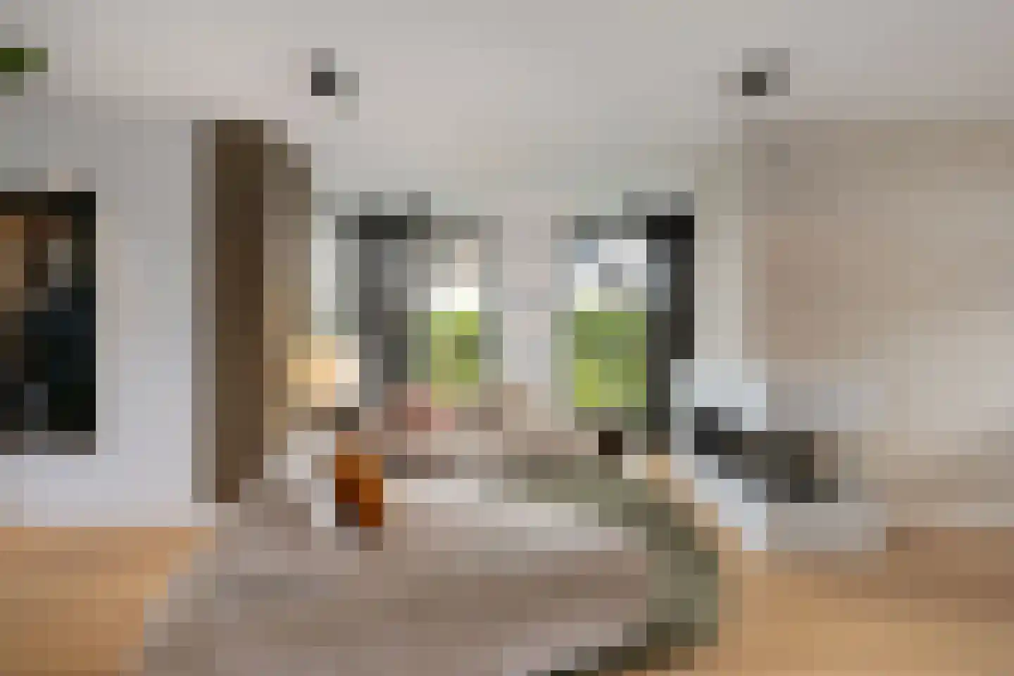 Hendrikseiland 35 Zevenhuizen thumbnail 8