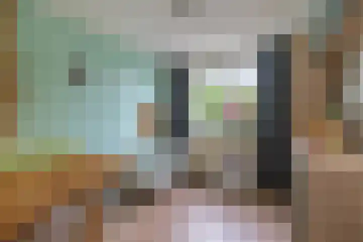 Hendrikskamp 17 Den Dungen thumbnail 13