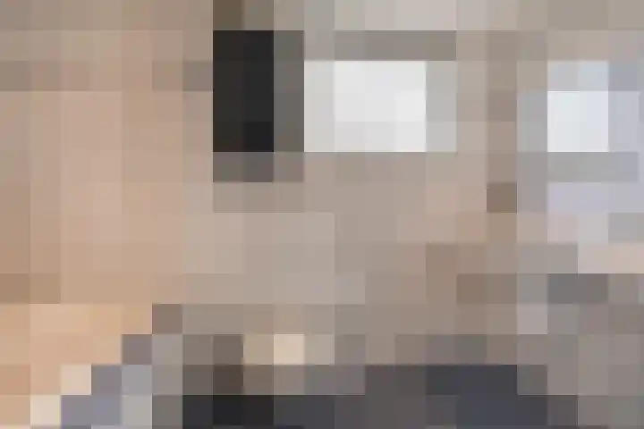 Hendrikskamp 17 Den Dungen thumbnail 15