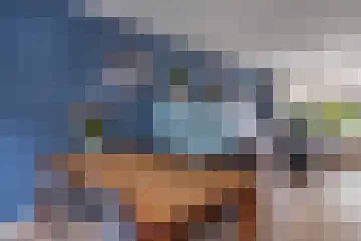 Hendrikskamp 17 Den Dungen thumbnail 4