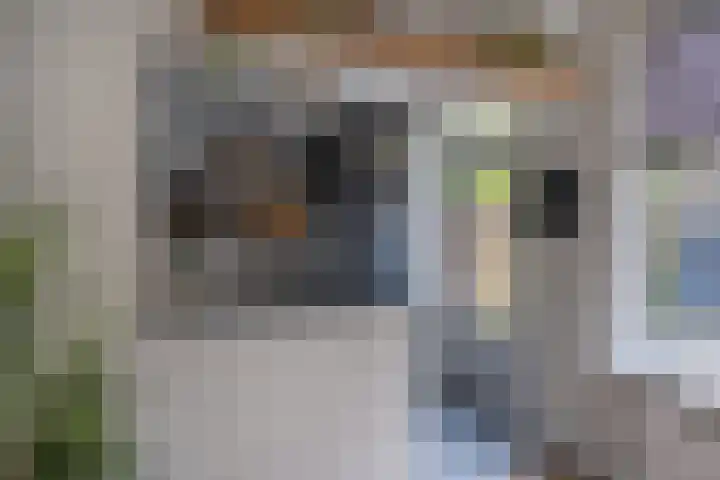 Hendrikskamp 17 Den Dungen thumbnail 6