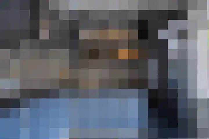 Hendrikskamp 17 Den Dungen thumbnail 8