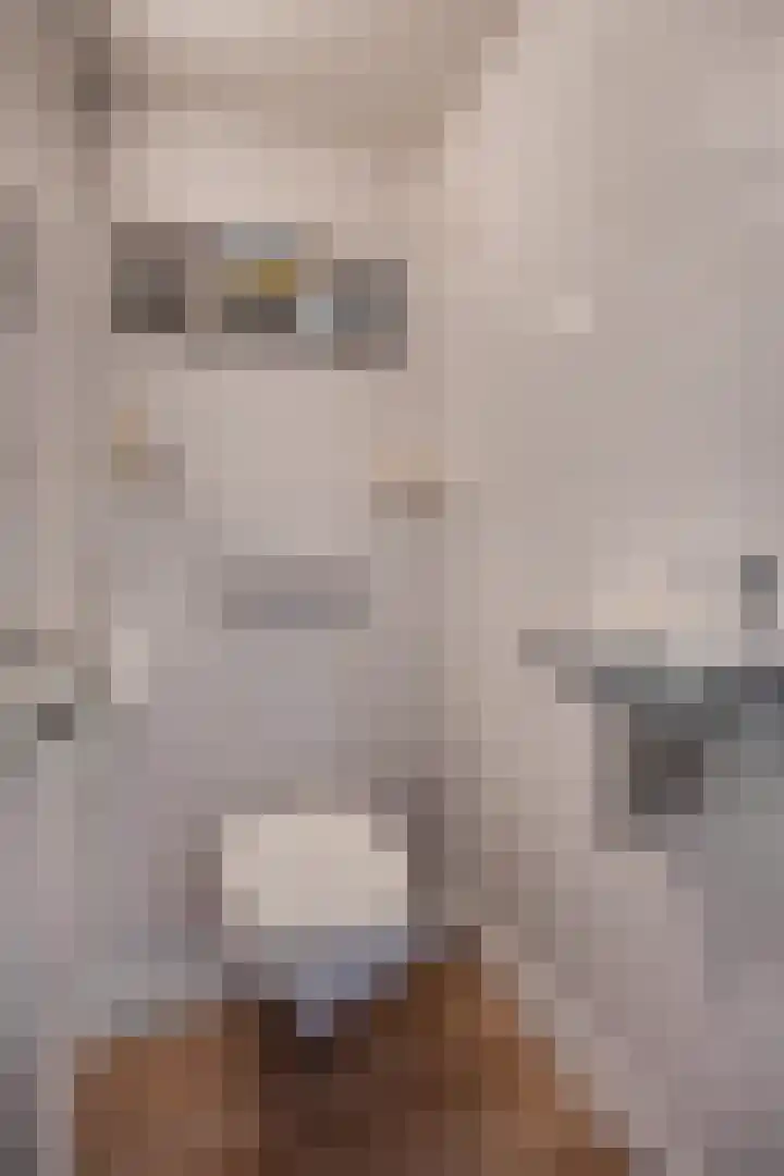 Hendrikskamp 17 Den Dungen thumbnail 9