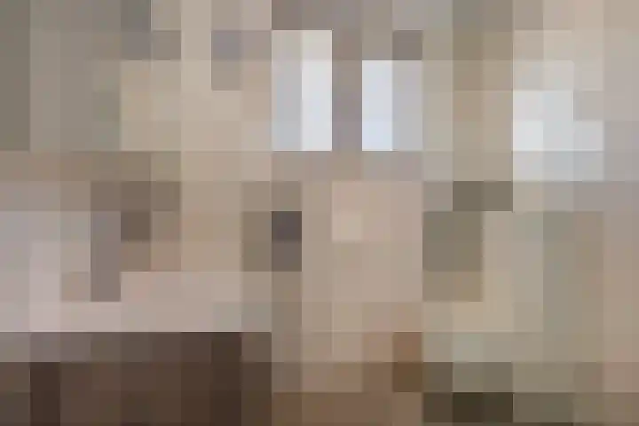 Hendrikskamp 3 Den Dungen thumbnail 16