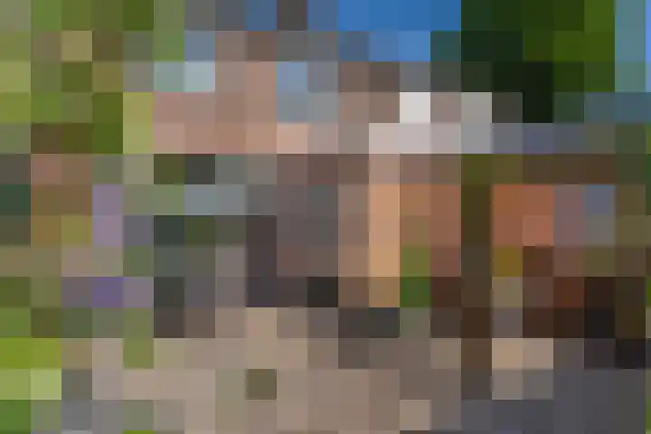 Hendrikskamp 3 Den Dungen thumbnail 22