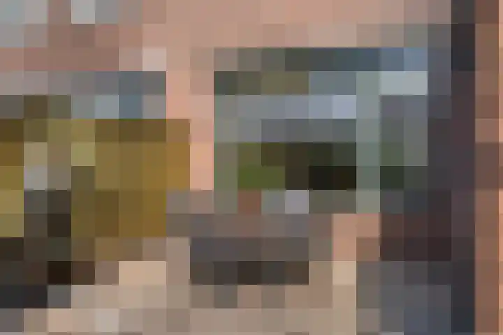 Hendrikskamp 3 Den Dungen thumbnail 23