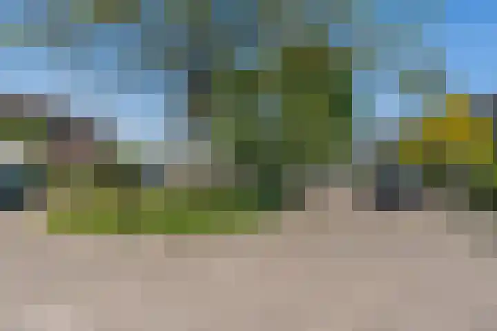 Hendrikskamp 3 Den Dungen thumbnail 27