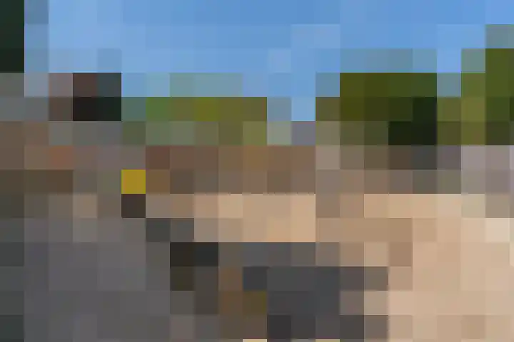 Hendrikskamp 3 Den Dungen thumbnail 4