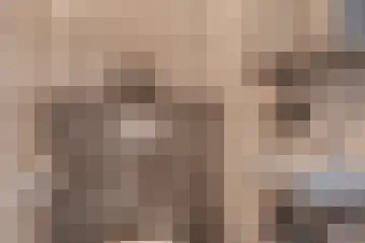 Hendrikskamp 3 Den Dungen thumbnail 6