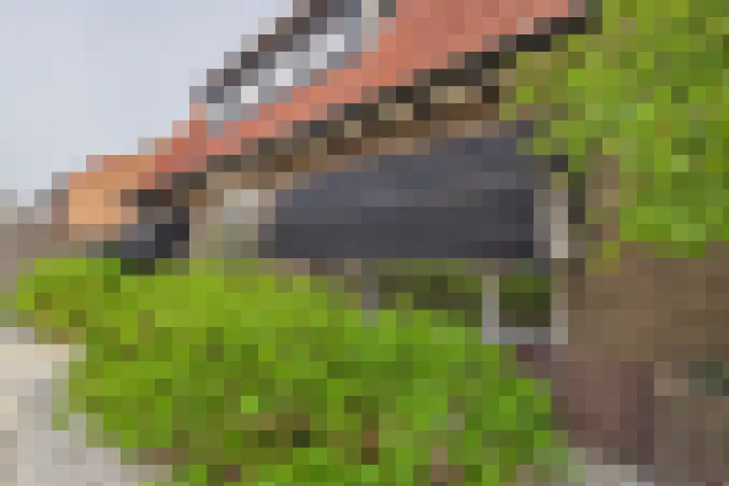 Hendrikstraat 14 Terneuzen thumbnail 26
