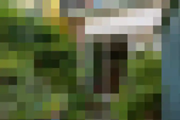 Hendrikstraat 16 Groningen thumbnail 23