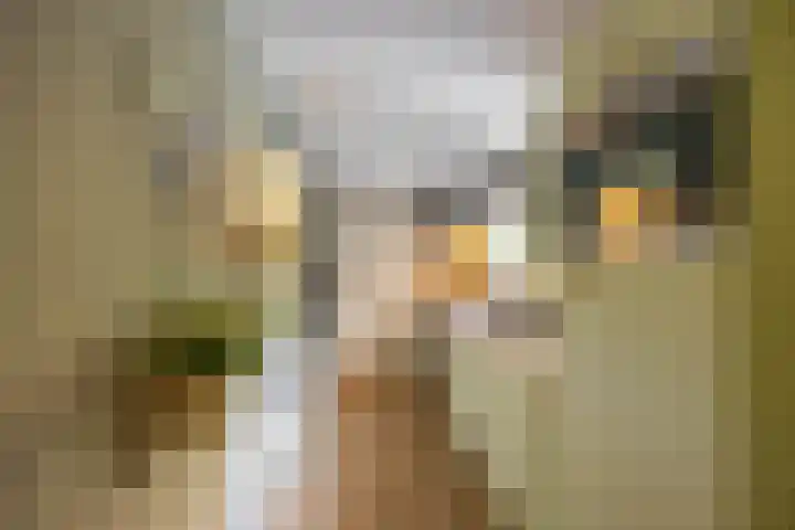 Hendrikstraat 16 Groningen thumbnail 9