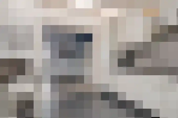 Hendrikstraat 23 Boxmeer thumbnail 22
