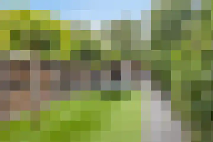 Hendrikstraat 23 Boxmeer thumbnail 4