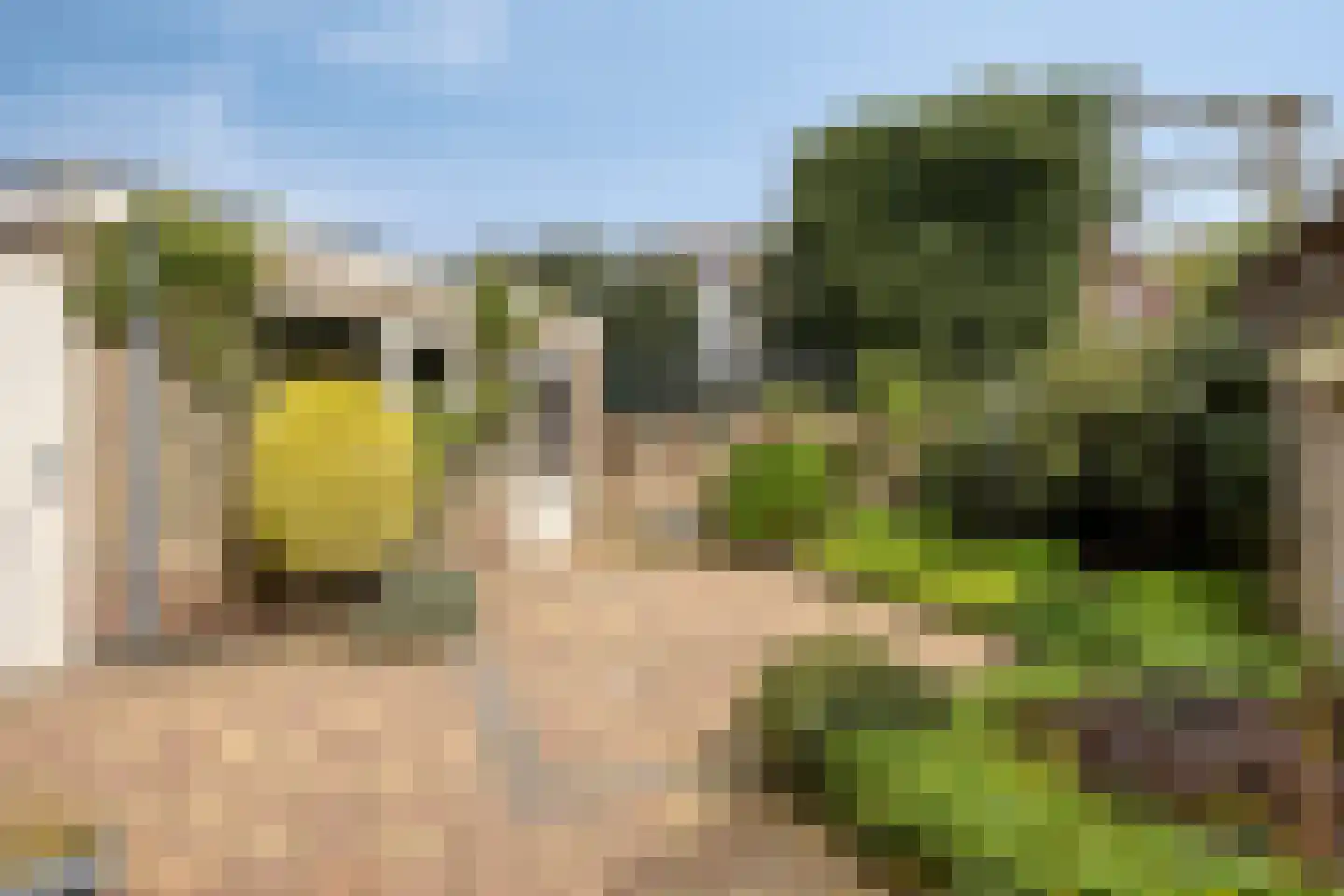 Hendrikstraat 3 Sprang-Capelle thumbnail 31