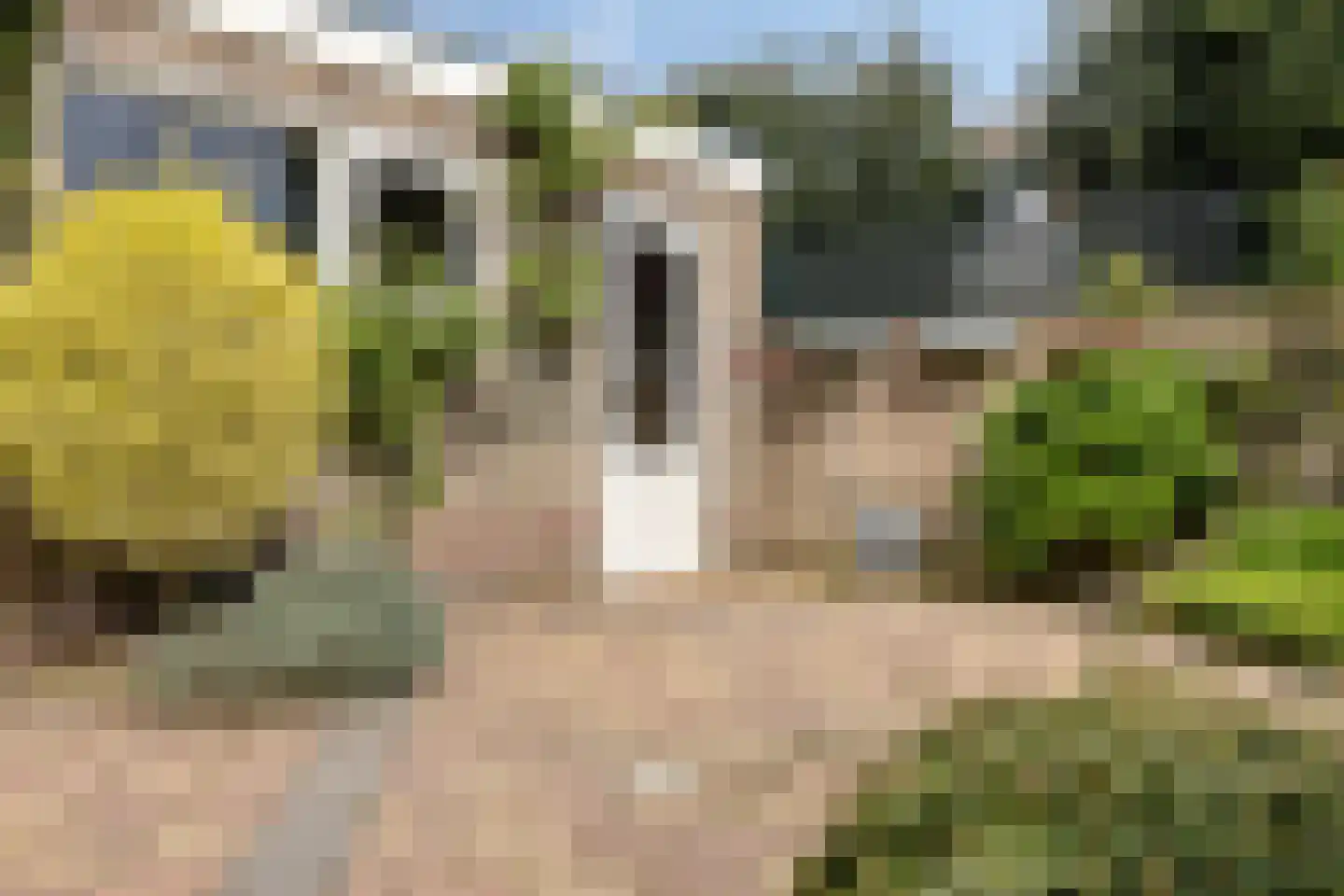 Hendrikstraat 3 Sprang-Capelle thumbnail 32