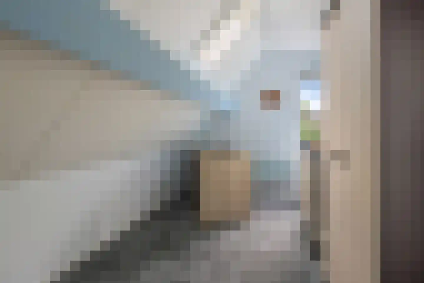 Hendrikstraat 31 Roosendaal thumbnail 33