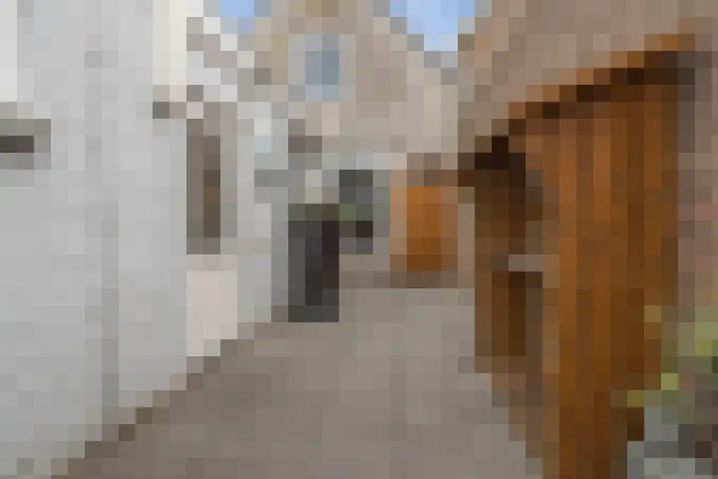 Hendrikstraat 31 Roosendaal thumbnail 36