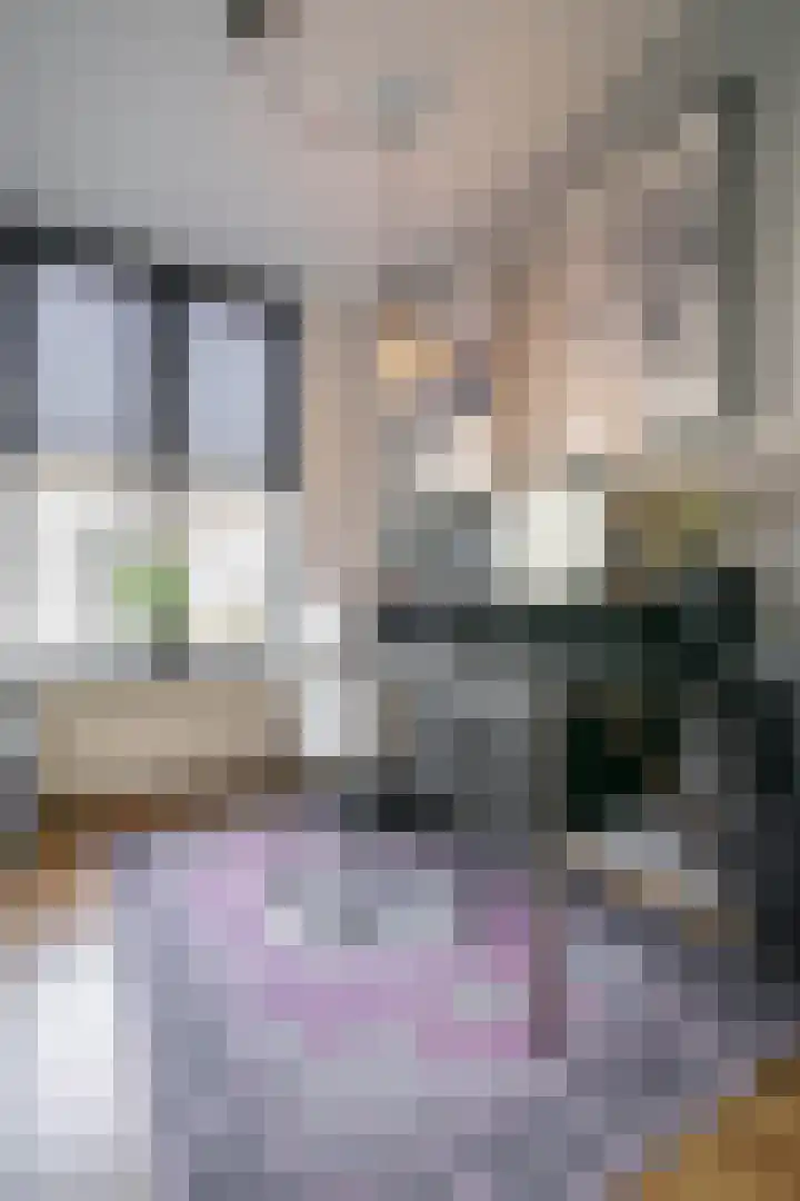 Hendrikstraat 53 Bakel thumbnail 15