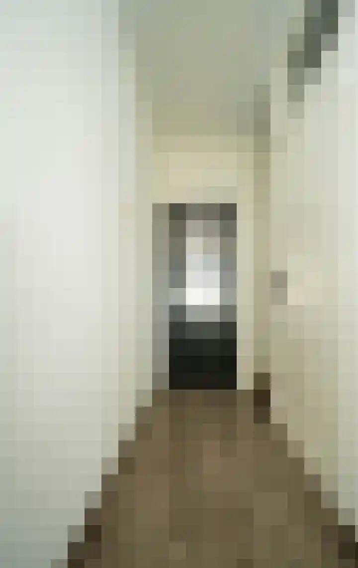 Hendrikstraat 53 Bakel thumbnail 4