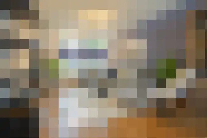 Hendrikstraat 53 Bakel thumbnail 6