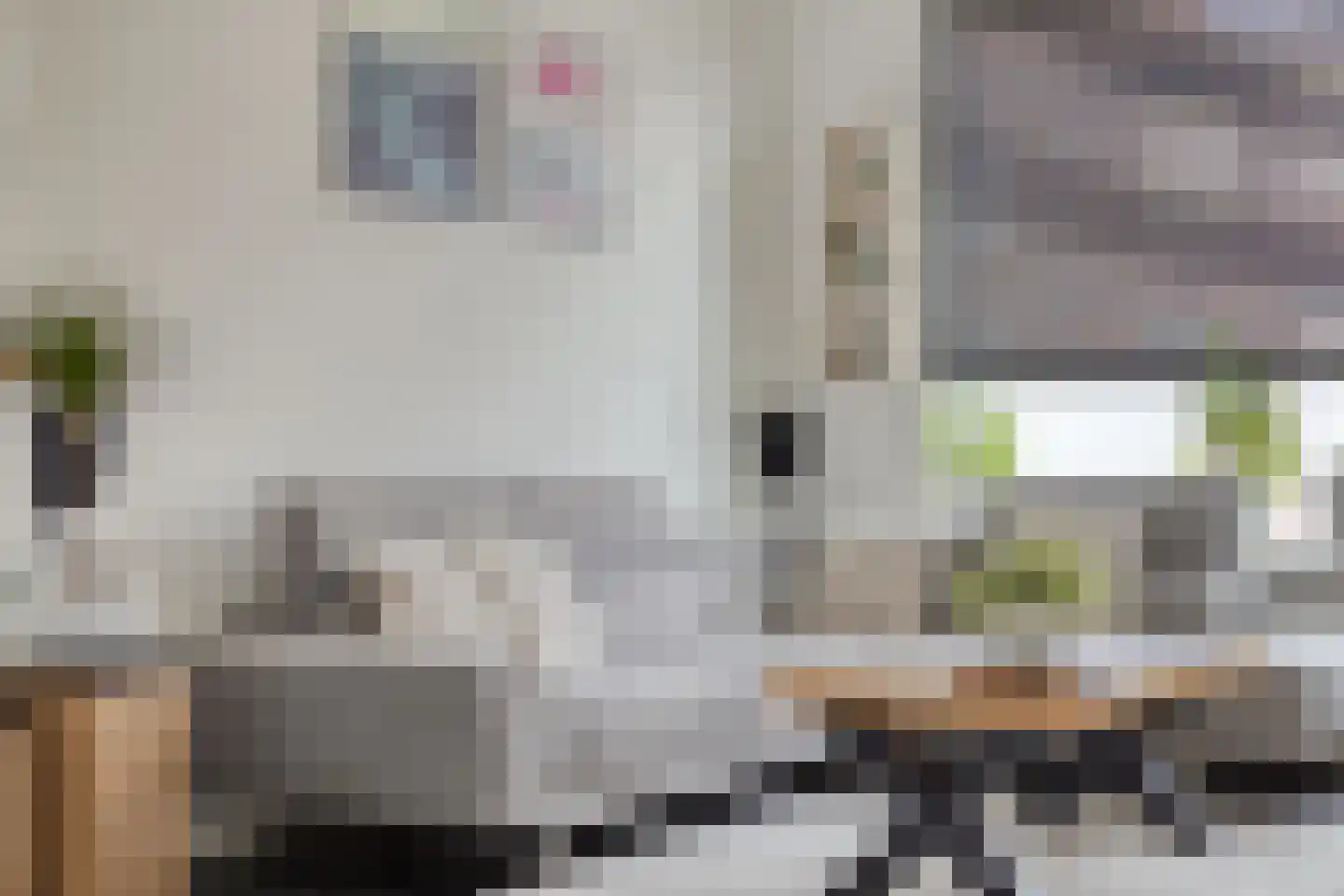 Hendrikstraat 8 Terneuzen thumbnail 5