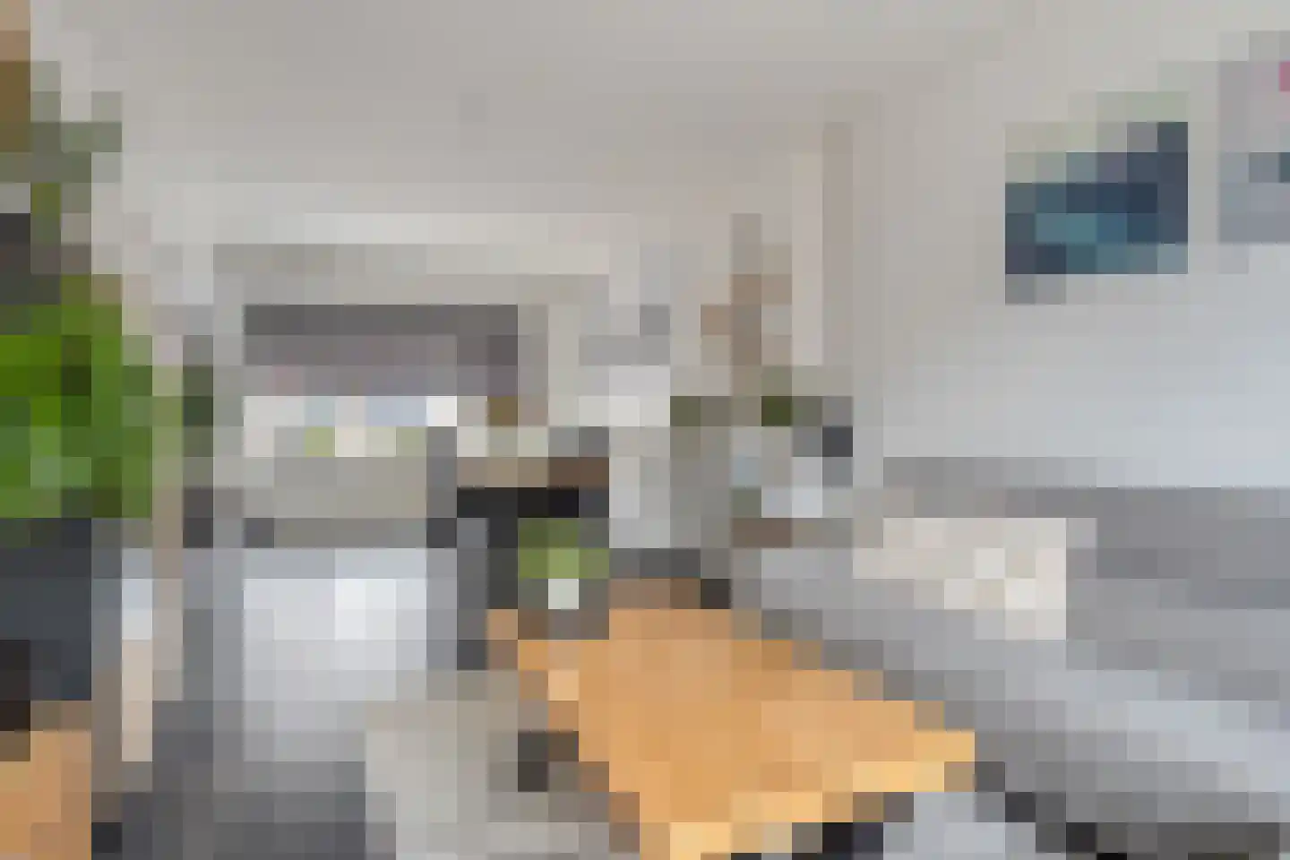 Hendrikstraat 8 Terneuzen thumbnail 7