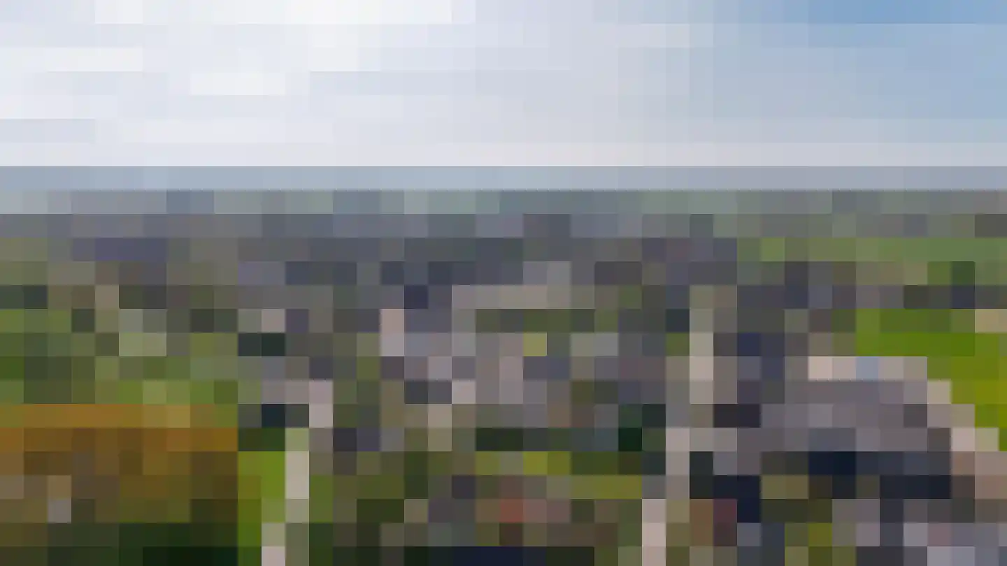 Hendrikstraat Gameren thumbnail 16