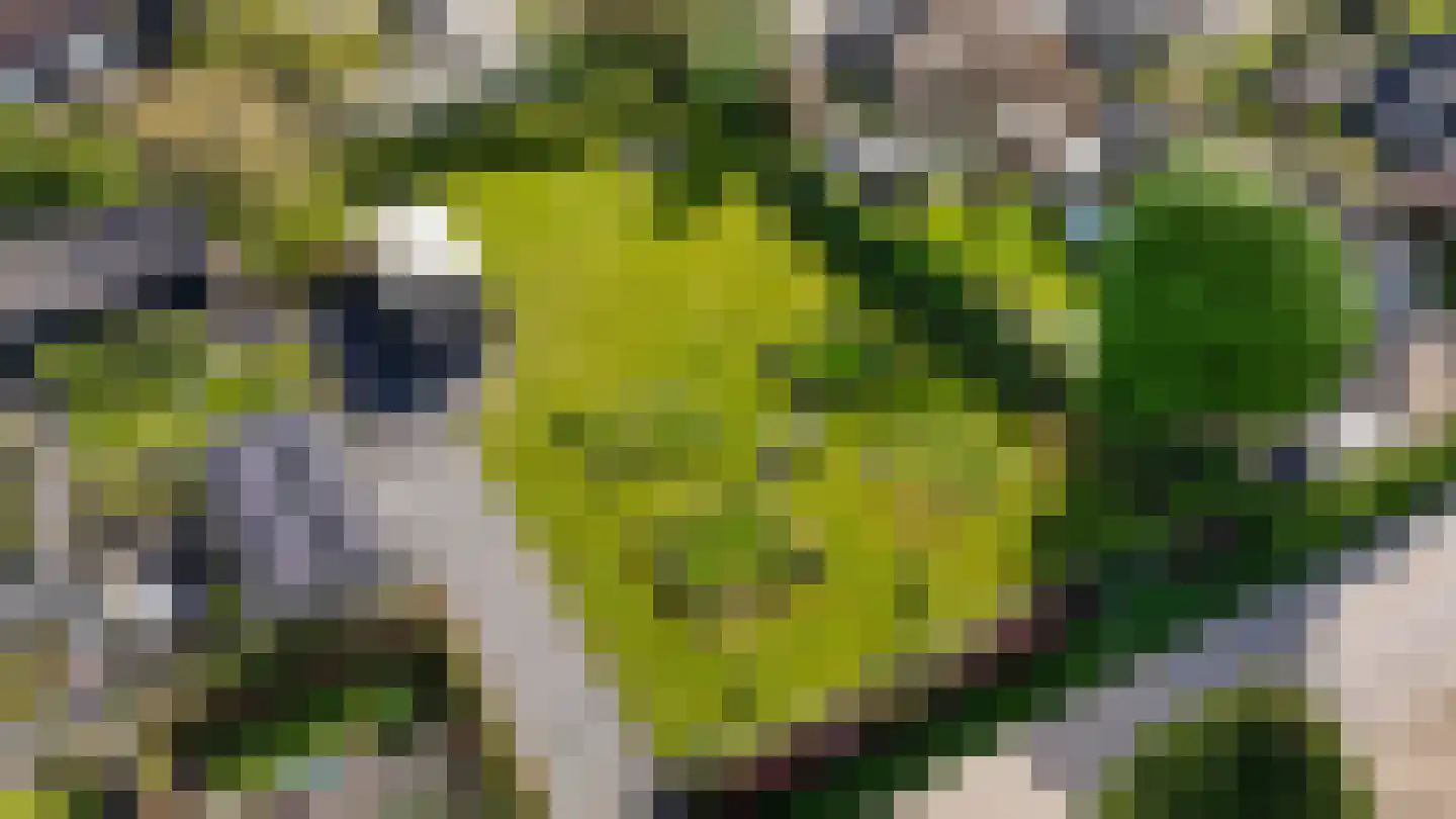 Hendrikstraat Gameren thumbnail 4