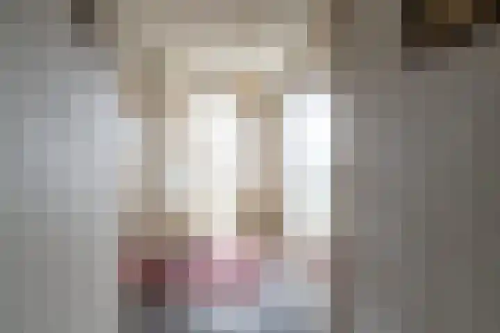 Hendrikus Chabotstraat 98 Sprang-Capelle thumbnail 12