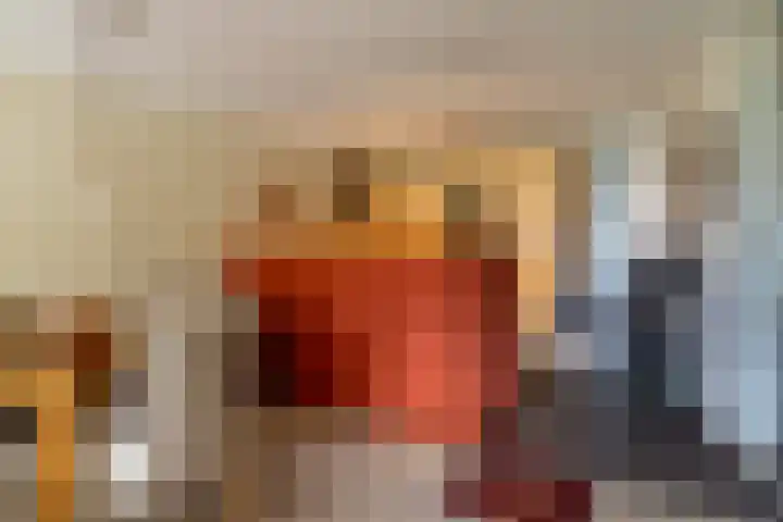 Hendrikus Chabotstraat 98 Sprang-Capelle thumbnail 15