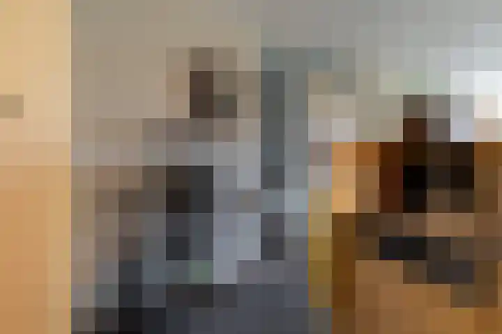 Hendrikus Chabotstraat 98 Sprang-Capelle thumbnail 17
