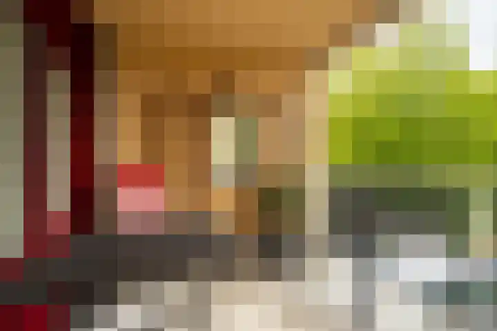 Hendrikus Chabotstraat 98 Sprang-Capelle thumbnail 22