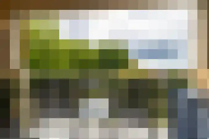 Hendrikus Chabotstraat 98 Sprang-Capelle thumbnail 23