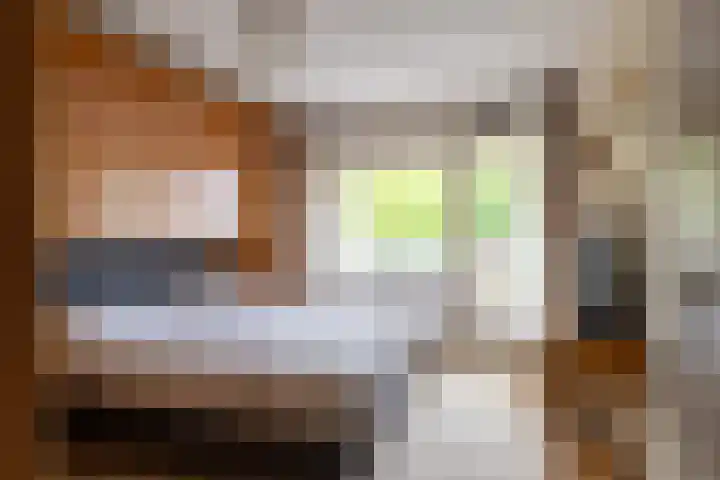 Hendrikus Chabotstraat 98 Sprang-Capelle thumbnail 24