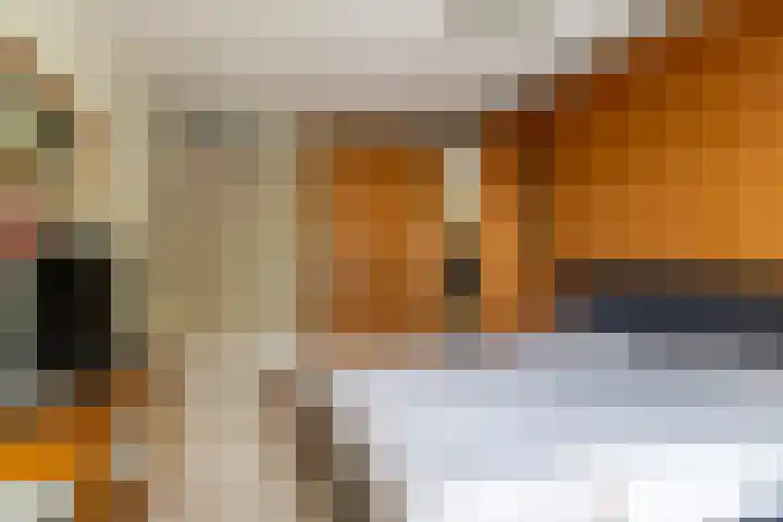Hendrikus Chabotstraat 98 Sprang-Capelle thumbnail 25