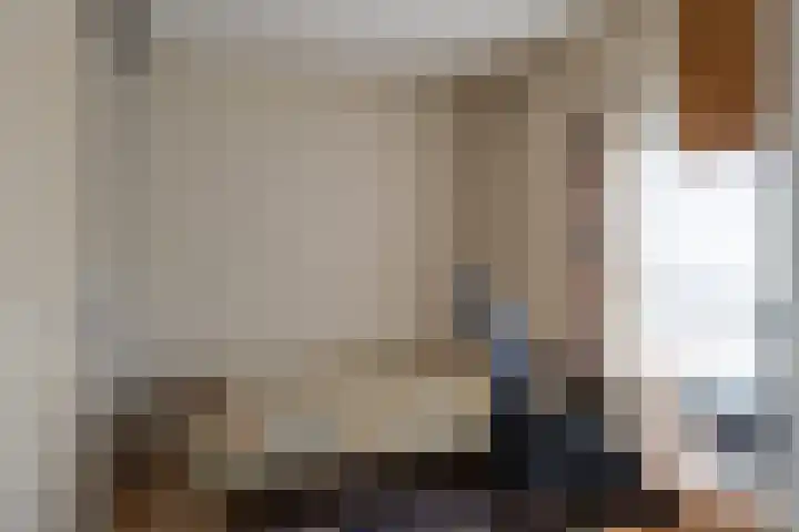 Hendrikus Chabotstraat 98 Sprang-Capelle thumbnail 26