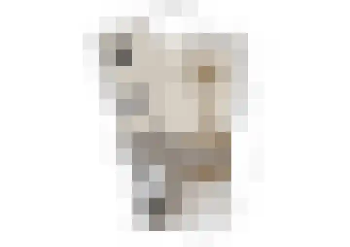 Hendrikus Chabotstraat 98 Sprang-Capelle thumbnail 30