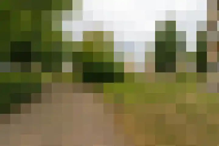 Hendrikus Chabotstraat 98 Sprang-Capelle thumbnail 4
