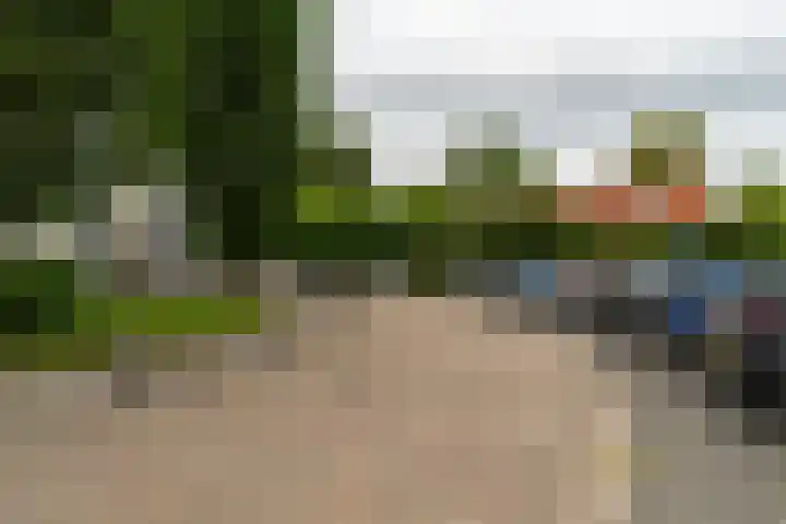 Hendrikus Chabotstraat 98 Sprang-Capelle thumbnail 5