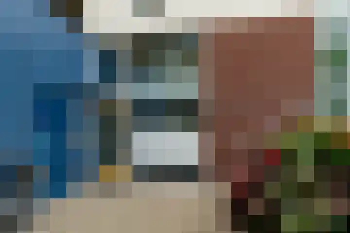 Hendrikus Chabotstraat 98 Sprang-Capelle thumbnail 7